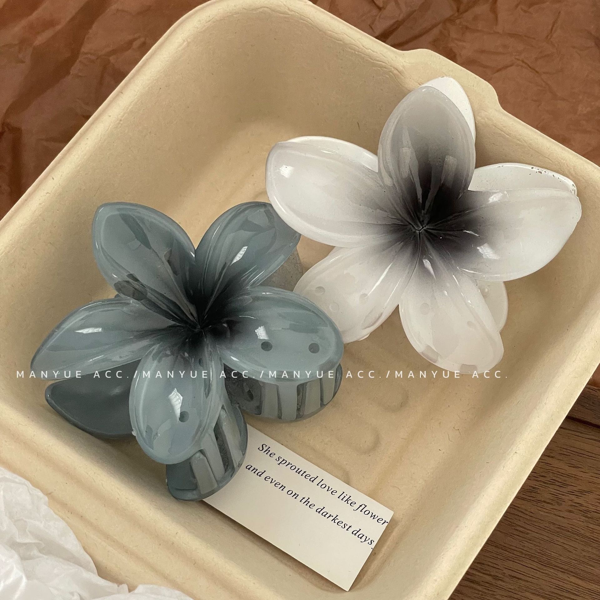 Hawaiian Gradient Hair Clips F - Hair Claw Clip Set บทวิจารณ์และราคา