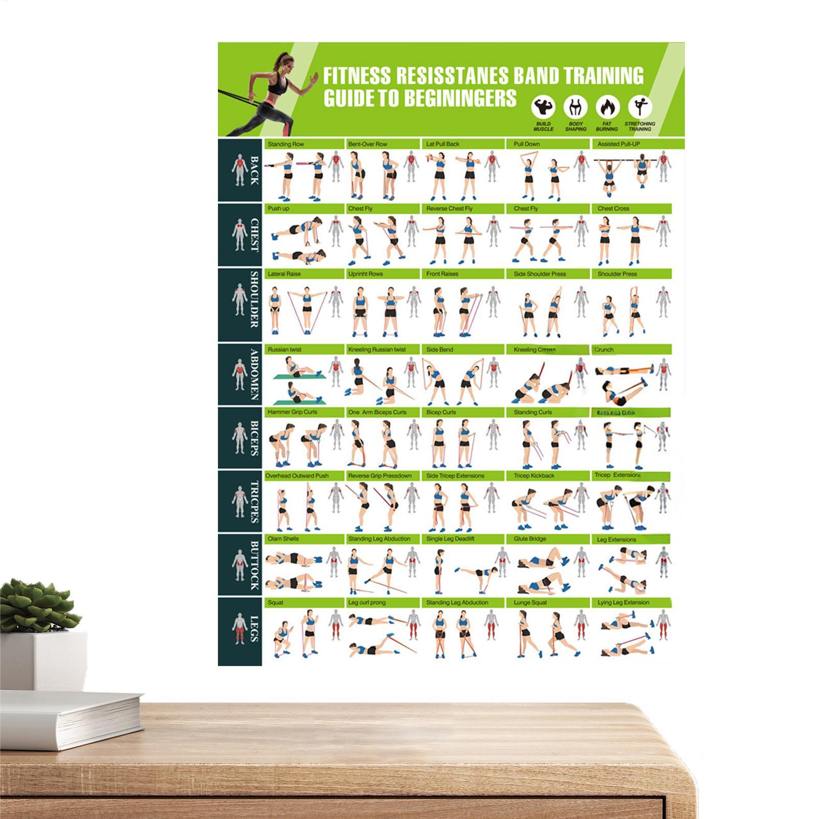Exercise Posters Resistance Ba - Women Accessories Poster บทวิจารณ์และราคา