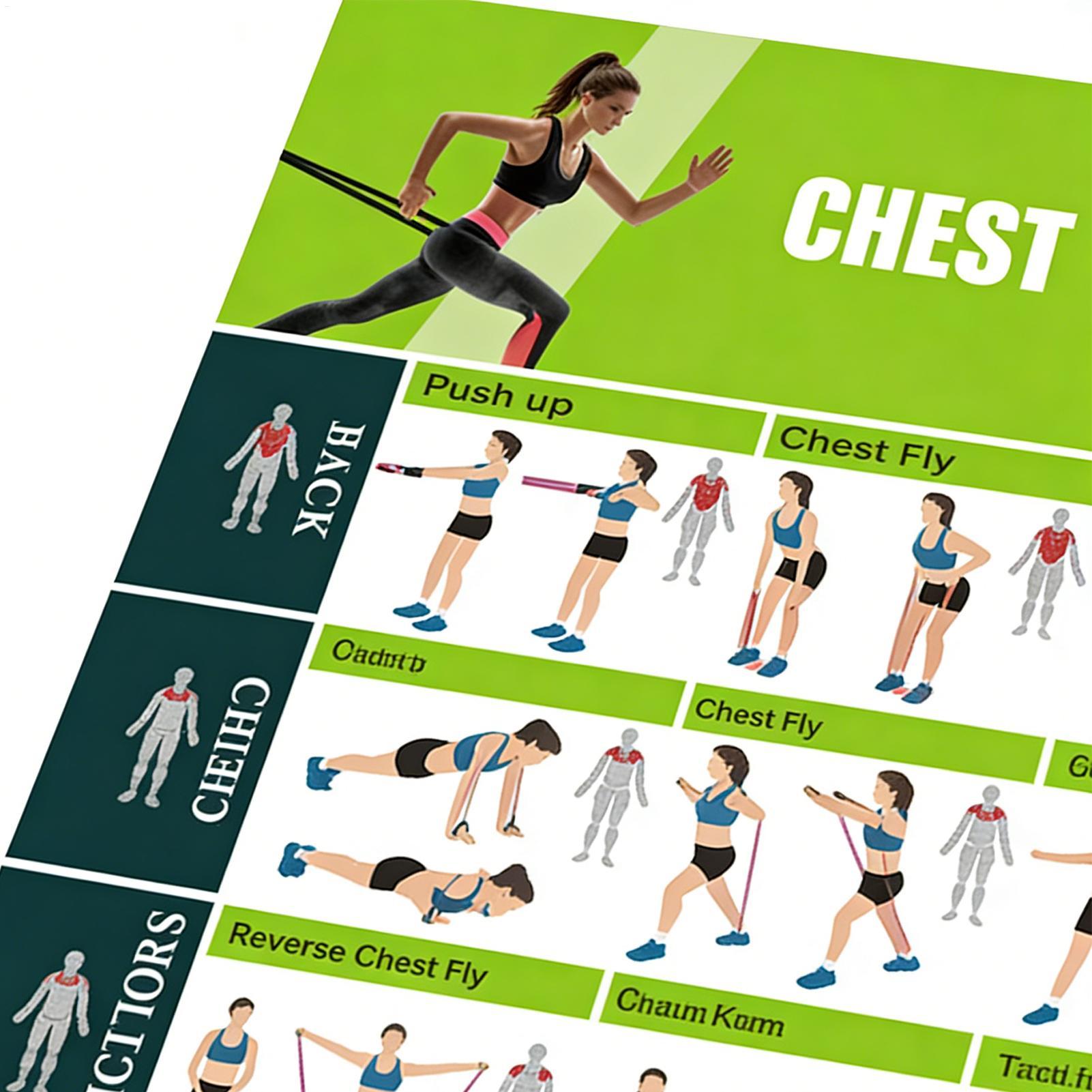 Exercise Posters Resistance Ba - Women Accessories Poster บทวิจารณ์และราคา